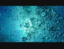 「ディープシー (Deep Sea)」　ZoK　インテリジェントダンスミュージック　IDM
