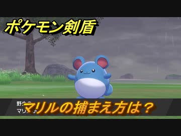 ポケモン剣盾 マリルを捕まえる方法 オススメの場所は 天気は ポケモン図鑑コンプへの道 最新版 ポケモンソード シールド ニコニコ動画
