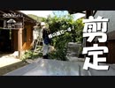 【第74回】庭木の剪定②とドリップと国宝