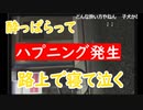 【外配信vol.13】路上で泣きながら寝てたらハプニング発生！【外配信】【切り抜き】【アフラン】