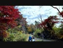 紅葉の高尾山をハイキング