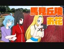 【裏企画もあるよ】馬見丘陵公園で秋を満喫！