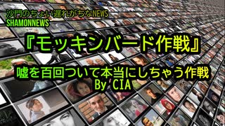 嘘を百回ついて本当にしちゃう作戦『モッキンバード作戦』(沙門のちょい遅れがちなNEWS)