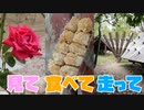 【近鉄南大阪線】役行者、古墳、公園散歩？ローカル駅を楽しもう！近鉄南大阪線3選！