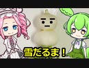 そういえば蕪はどうした？2【種から育てた野菜のお料理】