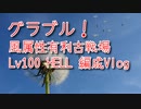 【グランブルーファンタジー Part431】風属性有利古戦場！Lv100 HELL編成 Vlog！