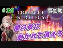トライアングルストラテジー【#30】体験版プレイしてから購入余裕でした