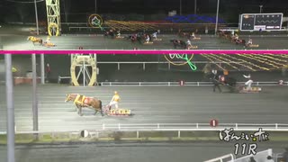 第47回クインカップ サクラヒメ