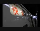 【ミニ乗車記録】 2018年 快速 伊東按針祭花火大会号