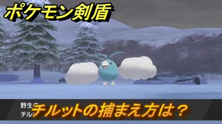 ポケモン剣盾　チルットを捕まえる方法！オススメの場所は？天気は？ポケモン図鑑コンプへの道！　最新版【ポケモンソード・シールド】