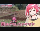 2022年11月13日　農作業日誌P447　ヤンバルクイナと雨の前の農作業　MYCOEIROINK