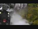 ニセコ号
