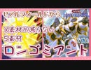素材が減らない５素材ロンゴミ！