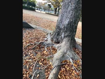 ウーバーイーツ待機中　池田公園