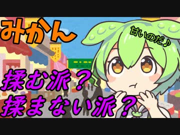 豆知識第35話　ミカンの話