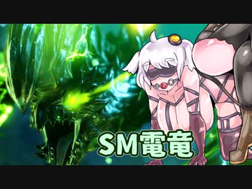 【ＭＨR】ゆっくりだべるモンスターハンターrice　Tea break【第六杯　電竜編】