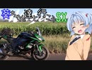 葵ちゃん達と行こうSX 第1章「円と梨」