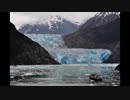【NNIオリジナル】氷河航路
