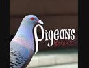 ピジョンズ