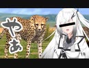 【AFRIKA】セイカの社畜業務日誌【VOICEROID実況】Part8