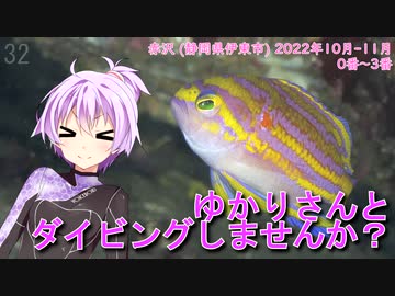 【赤沢(静岡県)】ゆかりさんとダイビングしませんか？