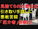【韓国】文前大統領が飼育放棄した豊山犬､引き取り手見つからず､｢厄介者｣扱い状態に!【時事ニュース解説】