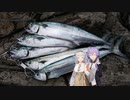ゆづきずで挑むロックショアフィッシング part3後編