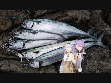ゆづきずで挑むロックショアフィッシング part3後編