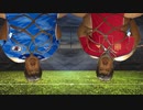 テラドン9　スペイン戦