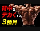 【筋トレ】背中を効率よく大きくする3種目の紹介 | 現役ボディビルダーが解説【ビーレジェンド プロテイン】