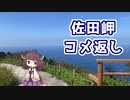 【ロードバイク車載】音街ウナは四国を走りたいようです #20【佐田岬コメ返し】