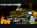 【バンジョーとカズーイの大冒険】ブンブンブン♪かわいいな【Part30】