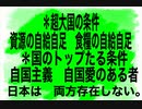 22/11/15昼　首相の条件は、日本人である事