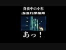 真夜中の小杉で山田丸をさがすダイジェスト