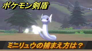 ポケモン剣盾　ミニリュウを捕まえる方法！オススメの場所は？天気は？ポケモン図鑑コンプへの道！　最新版【ポケモンソード・シールド】