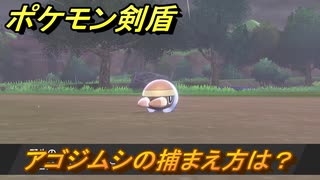 ポケモン剣盾　アゴジムシを捕まえる方法！オススメの場所は？天気は？ポケモン図鑑コンプへの道！　最新版【ポケモンソード・シールド】