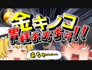 順番が大切なゆっくりと眼鏡のマリオカート8DX
