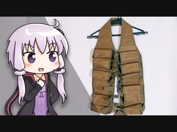 【買う人いるの…？】中国から「〇〇専用ベスト」取り寄せた｜結月ゆかりの浪費日記 17日目