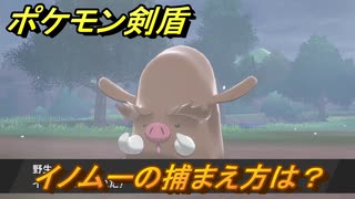 ポケモン剣盾 イノムーを捕まえる方法 オススメの場所は 天気は ポケモン図鑑コンプへの道 最新版 ポケモンソード シールド ニコニコ動画