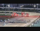 【ウマ娘風】11月14日5R C2クラス～三連単363万馬券～(大井・2022)