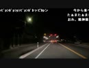 【イノシシ】暇だから旅に出る！2。2022年11月12日