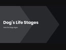 Dog’s Life Stages How Do Dogs Ages