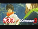 【実況】黒野のゼノブレイド3 #33