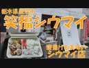 笑福シウマイでシウマイ弁当と唐揚げを食す【飯動画】【栃木県鹿沼市】