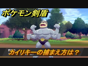 ポケモン剣盾 カイリキーを捕まえる方法 オススメの場所は 天気は ポケモン図鑑コンプへの道 最新版 ポケモンソード シールド ニコニコ動画