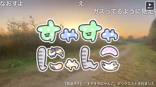 よくない現場に遭遇するおしょうゆさんと誤すやにゃん【おしょうゆさん切り抜き】