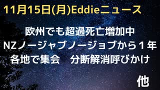 欧州でも超過死亡が増加中　ほぼ全年齢層　NZノージャブノージョブから１年　各地での集会に参加呼びかけ　苦しみを認識し　回復を讃える日