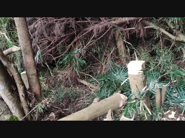 北海道人が千葉の土地を開拓することにしました。【#03】