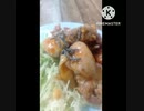 鶏の炒め物にいそ松葉あうよ大阪空港の別名？炒め物違った伊丹だもの