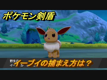 ポケモン剣盾 イーブイを捕まえる方法 オススメの場所は 天気は ポケモン図鑑コンプへの道 最新版 ポケモンソード シールド ニコニコ動画